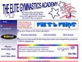 2602gymnastic instruction Elite Gymnastics Academy