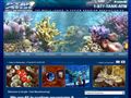 2613aquariums and aquarium supls wholesale Acrylic Tank Mfg