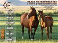 2423horse breeders Frost Quarter Horses Inc