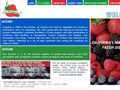 2376fruits and vegetables wholesale J C Produce